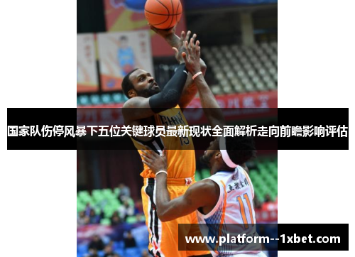 国家队伤停风暴下五位关键球员最新现状全面解析走向前瞻影响评估 国家队伤停风暴下五位关键球员最新现状全面解析走向前瞻影响评估